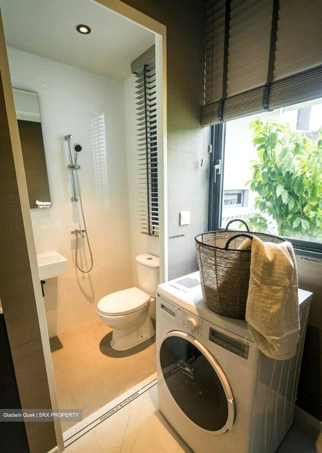 Scotts Highpark (D9), Condominium #386542191